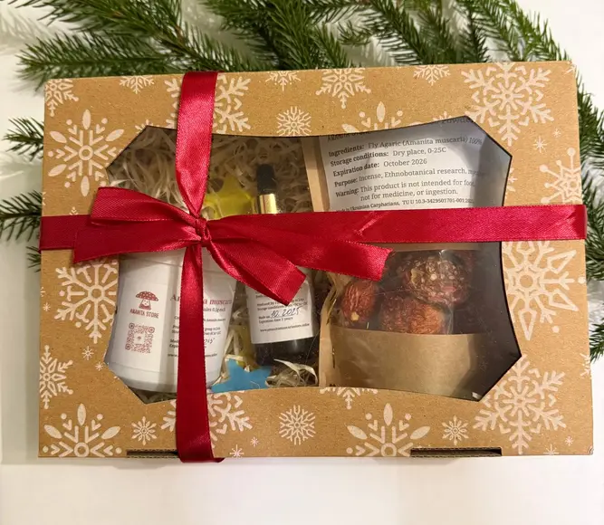 Dried Amanita muscaria Gift Box — 1 box