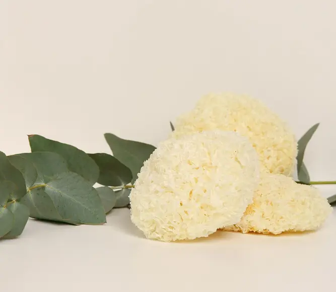 Organic Tremella (Snow Fungus) — 50g