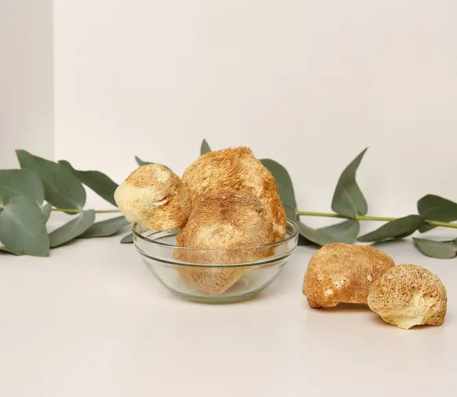 Grzywa lwa (Hericium erinaceus) — 100g