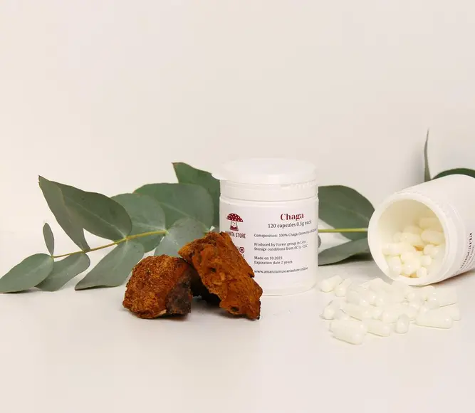 Chaga capsules — 120 capsules