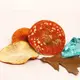 Dried Amanita muscaria grade A — 50g — photo 7