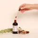 Trametes versicolor Tincture – Double Extraction from Fresh Organic Fruiting Bodies. — 50ml — photo 4