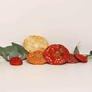 Dried Amanita muscaria grade A — 50g