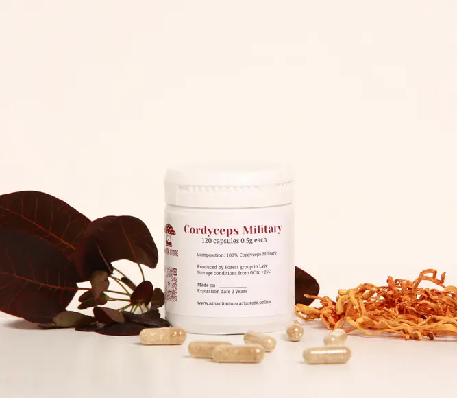 Cordyceps Military capsules — 120 capsules