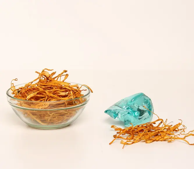 Cordyceps Military — 100g