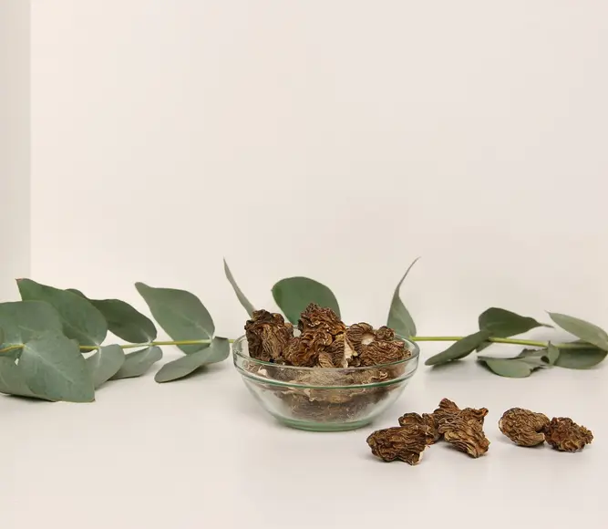 Dried Morels — 100g