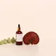 Reishi Tincture – Double Extraction from Fresh Organic Fruiting Bodies — 50ml