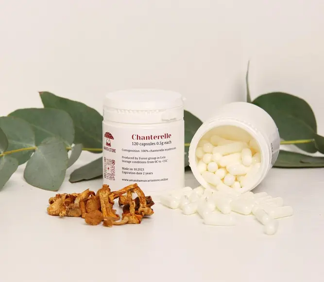 Chanterelle mushroom capsules — 120 capsules