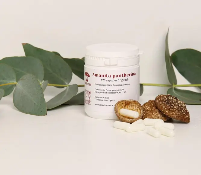 Amanita pantherina capsules — 120 capsules