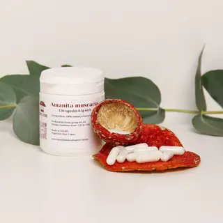 Dried Amanita muscaria capsules — 120 capsules