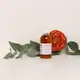 Dried Amanita muscaria tincture — 50ml — photo 5